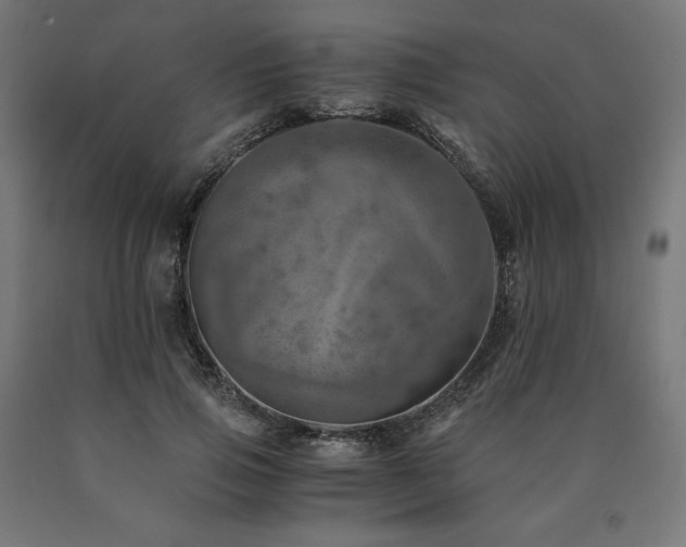 X0000091010741200708021548