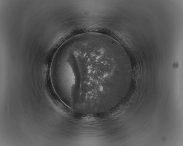 X0000091010742200708021548