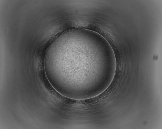 X0000091010743200708021548