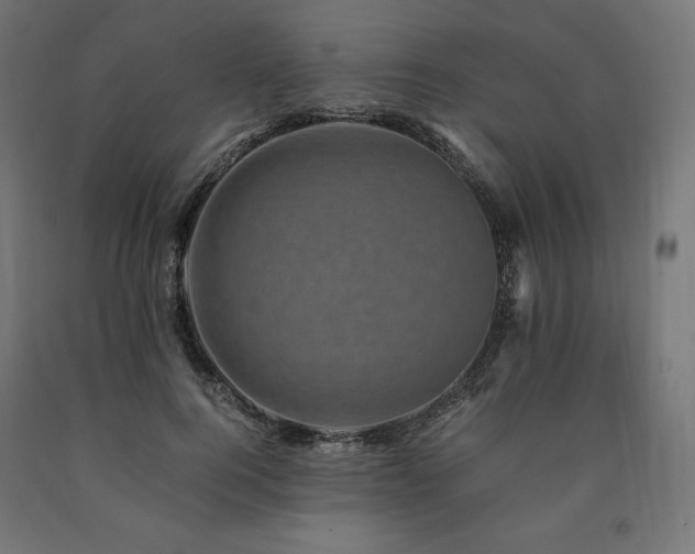 X0000091010744200708021548