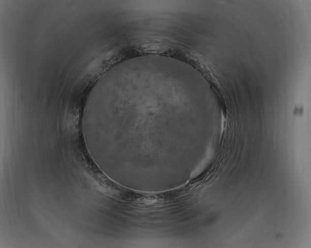 X0000091010745200708021548