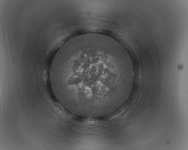 X0000091010746200708021548