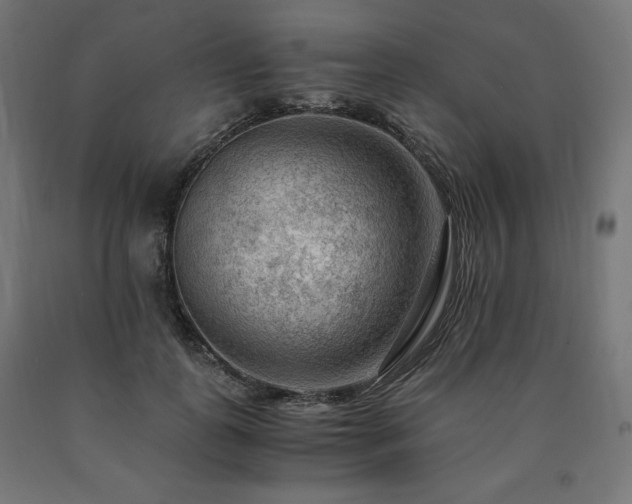 X0000091010747200708021548