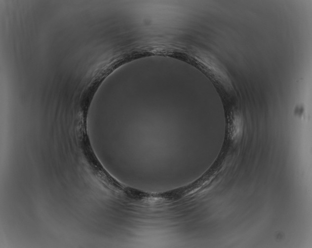 X0000091010748200708021548