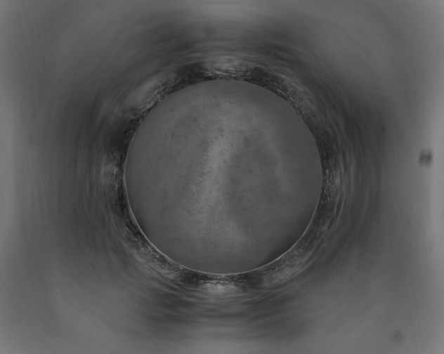 X0000091010749200708021548