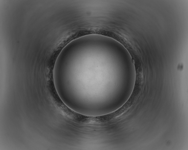 X0000091010750200708021548
