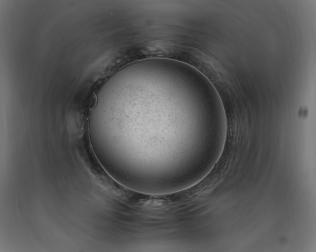X0000091010751200708021548