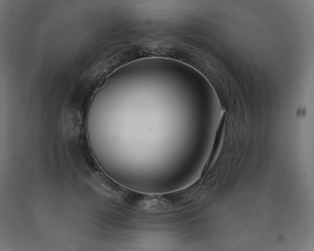 X0000091010752200708021548