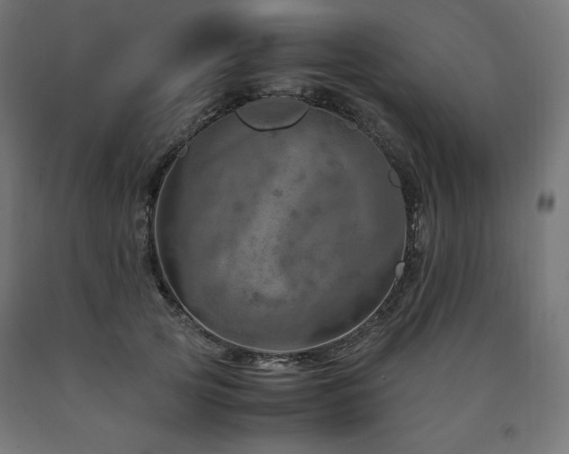 X0000091010753200708021548