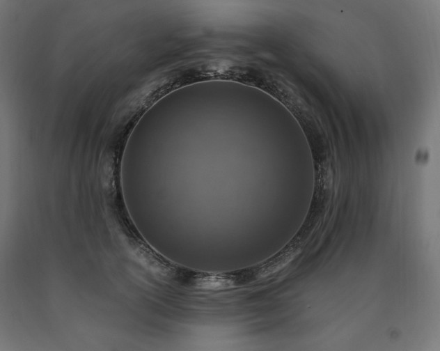 X0000091010754200708021548