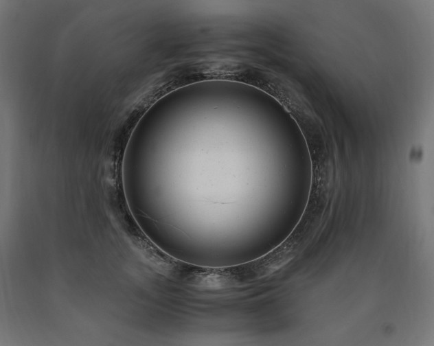 X0000091010755200708021548