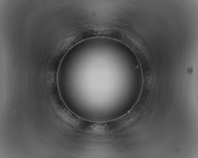 X0000091010756200708021548