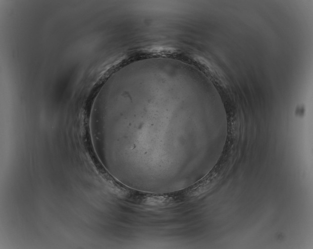 X0000091010757200708021548