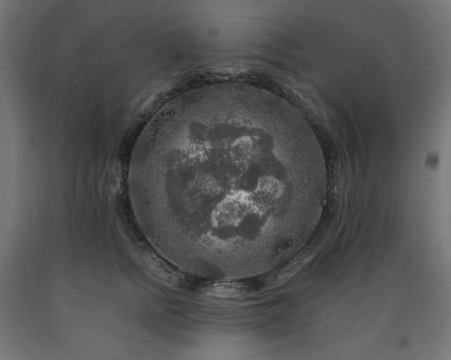 X0000091010758200708021548