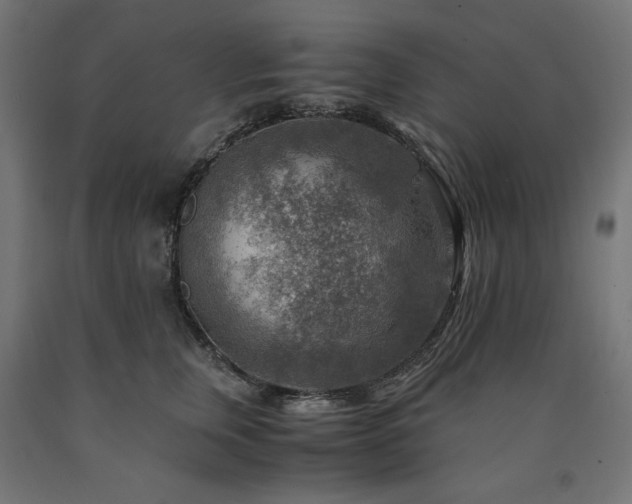 X0000091010759200708021548