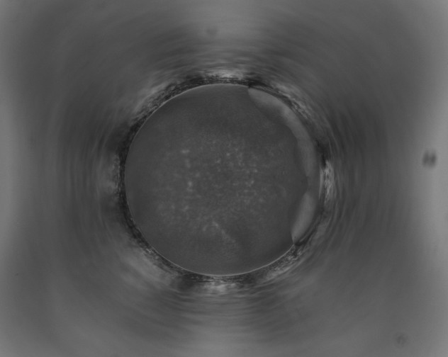 X0000091010760200708021548