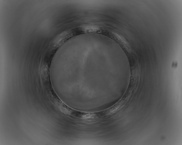 X0000091010761200708021548