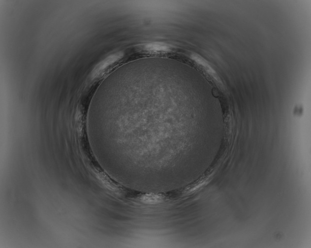 X0000091010762200708021548