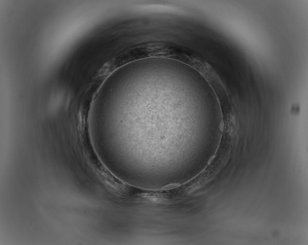 X0000091010763200708021548