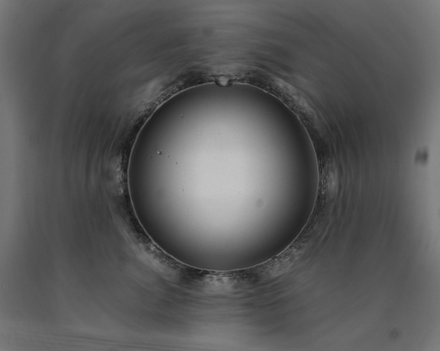 X0000091010764200708021548