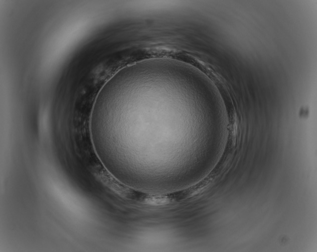 X0000091010767200708021548