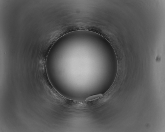 X0000091010768200708021548