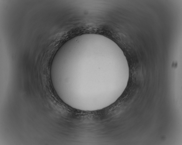 X0000091010769200708021548