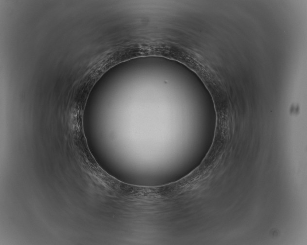 X0000091010770200708021548