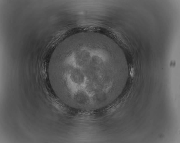 X0000091010771200708021548