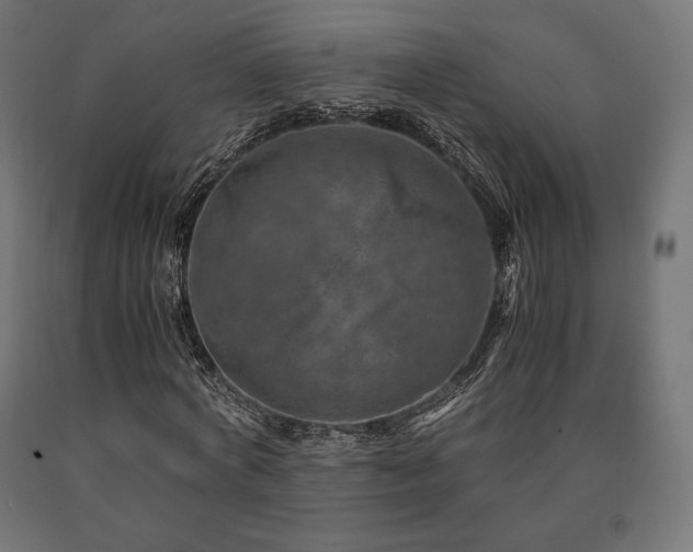 X0000091010772200708021547