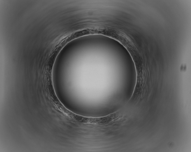 X0000091010773200708021547