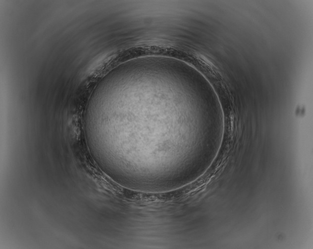 X0000091010774200708021547
