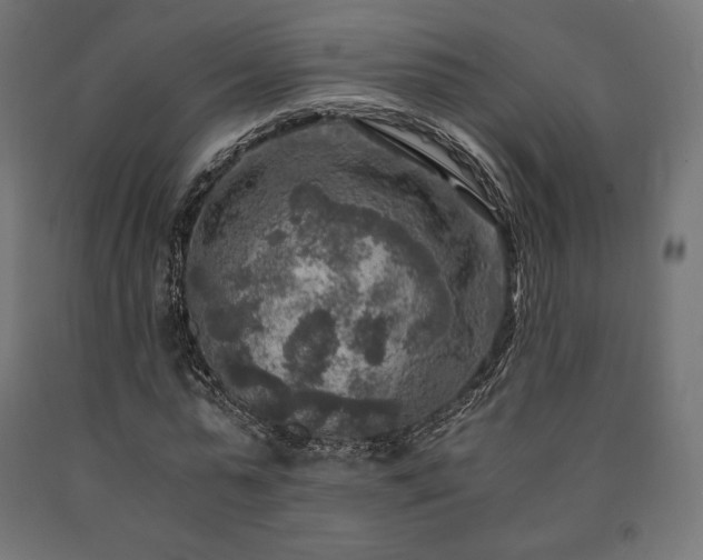 X0000091010775200708021547