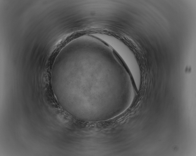 X0000091010776200708021547