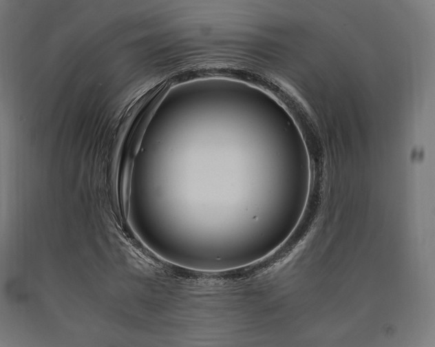 X0000091010777200708021547