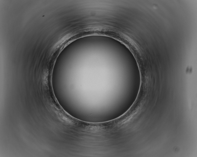 X0000091010778200708021547