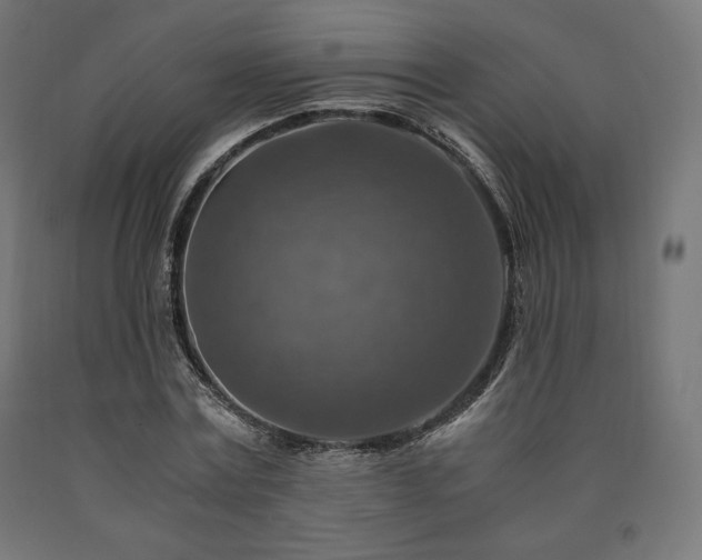 X0000091010779200708021547