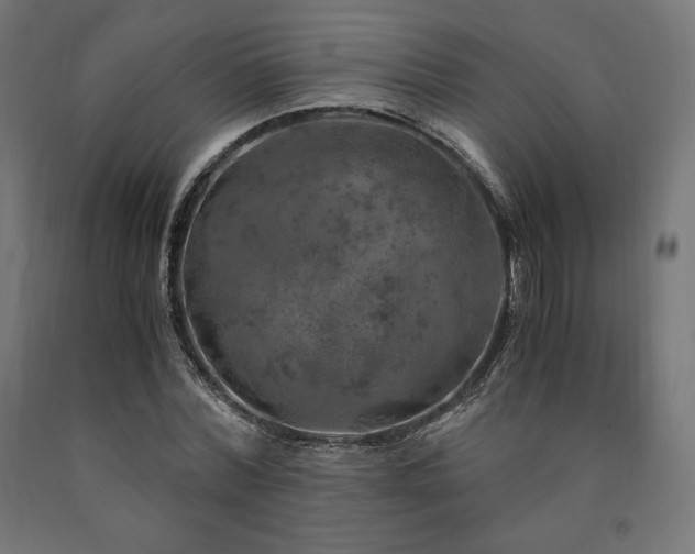 X0000091010780200708021547