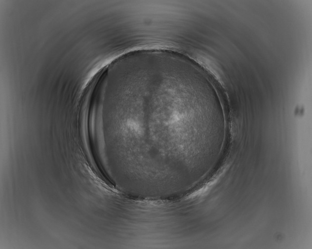X0000091010781200708021547