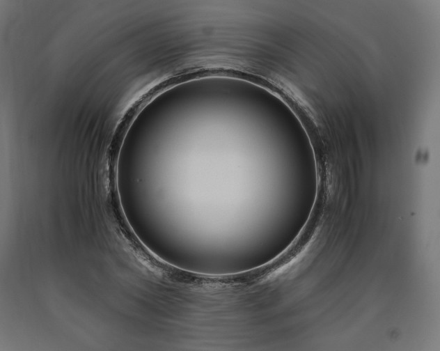 X0000091010782200708021547