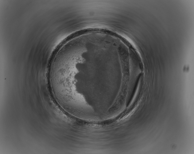 X0000091010783200708021547