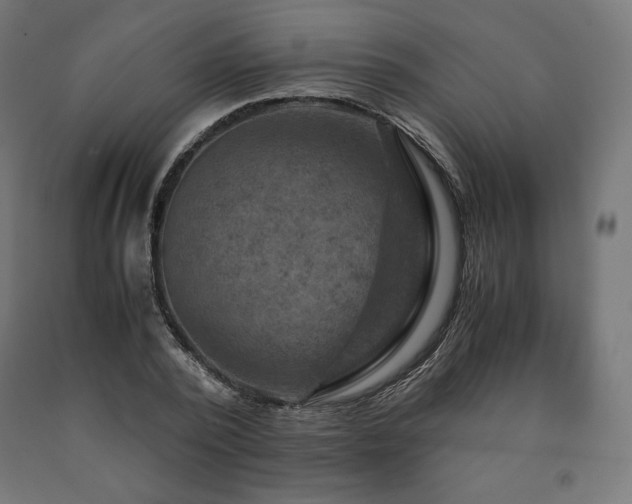 X0000091010784200708021547