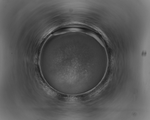 X0000091010785200708021547