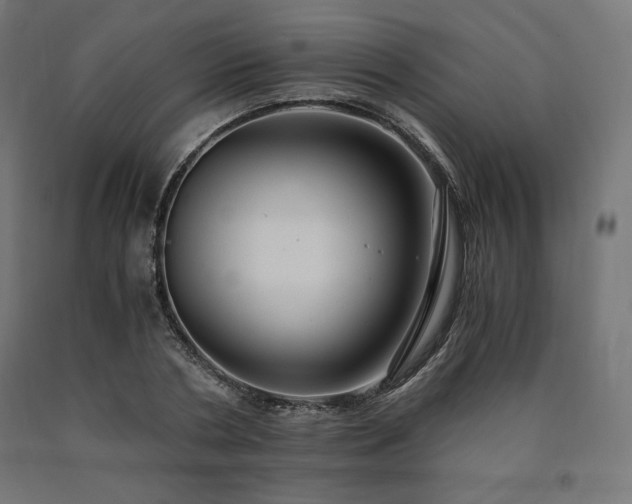 X0000091010786200708021547