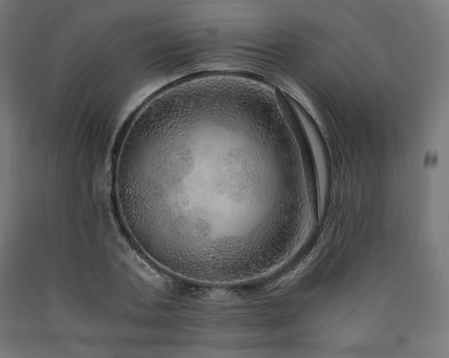 X0000091010787200708021547