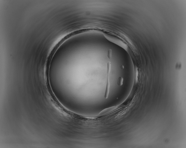 X0000091010788200708021547