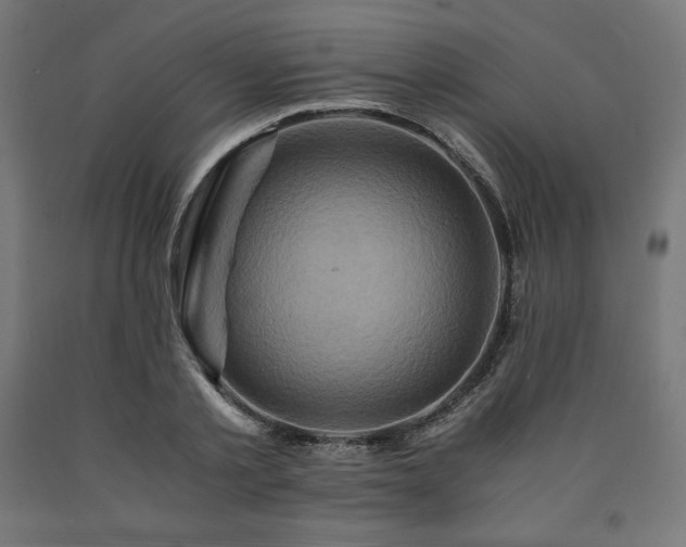 X0000091010789200708021547