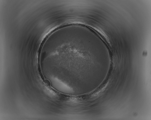 X0000091010790200708021547
