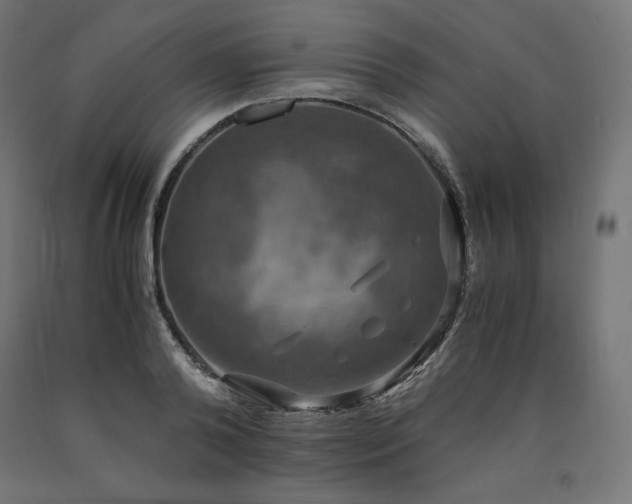 X0000091010792200708021547