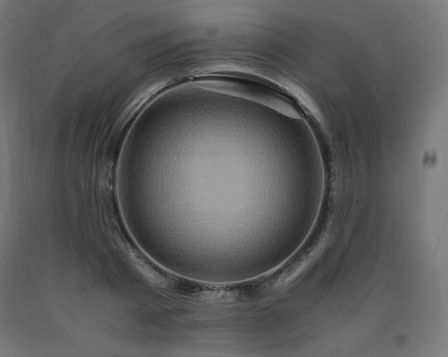 X0000091010793200708021547